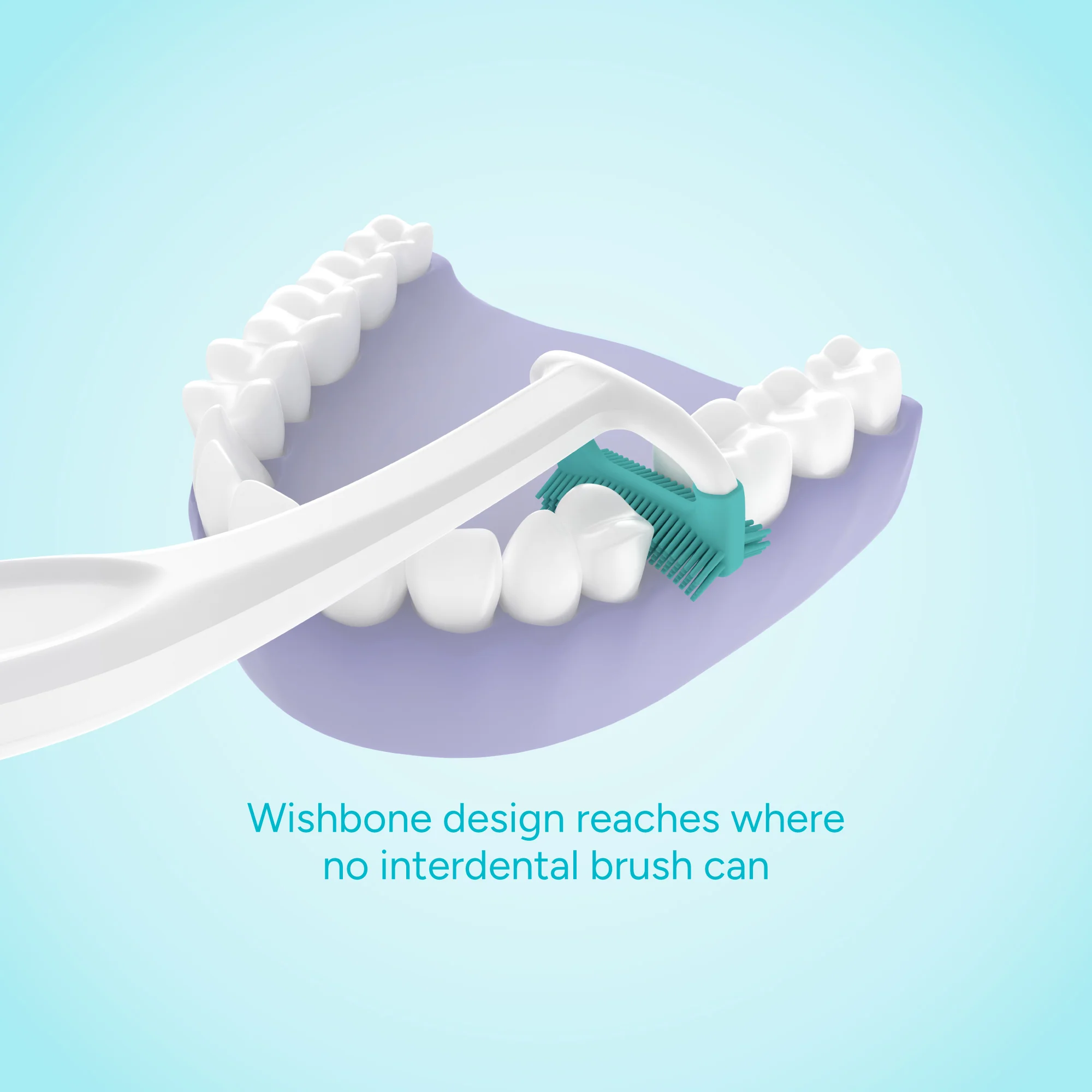 Ordo Denta Reach - Image 3
