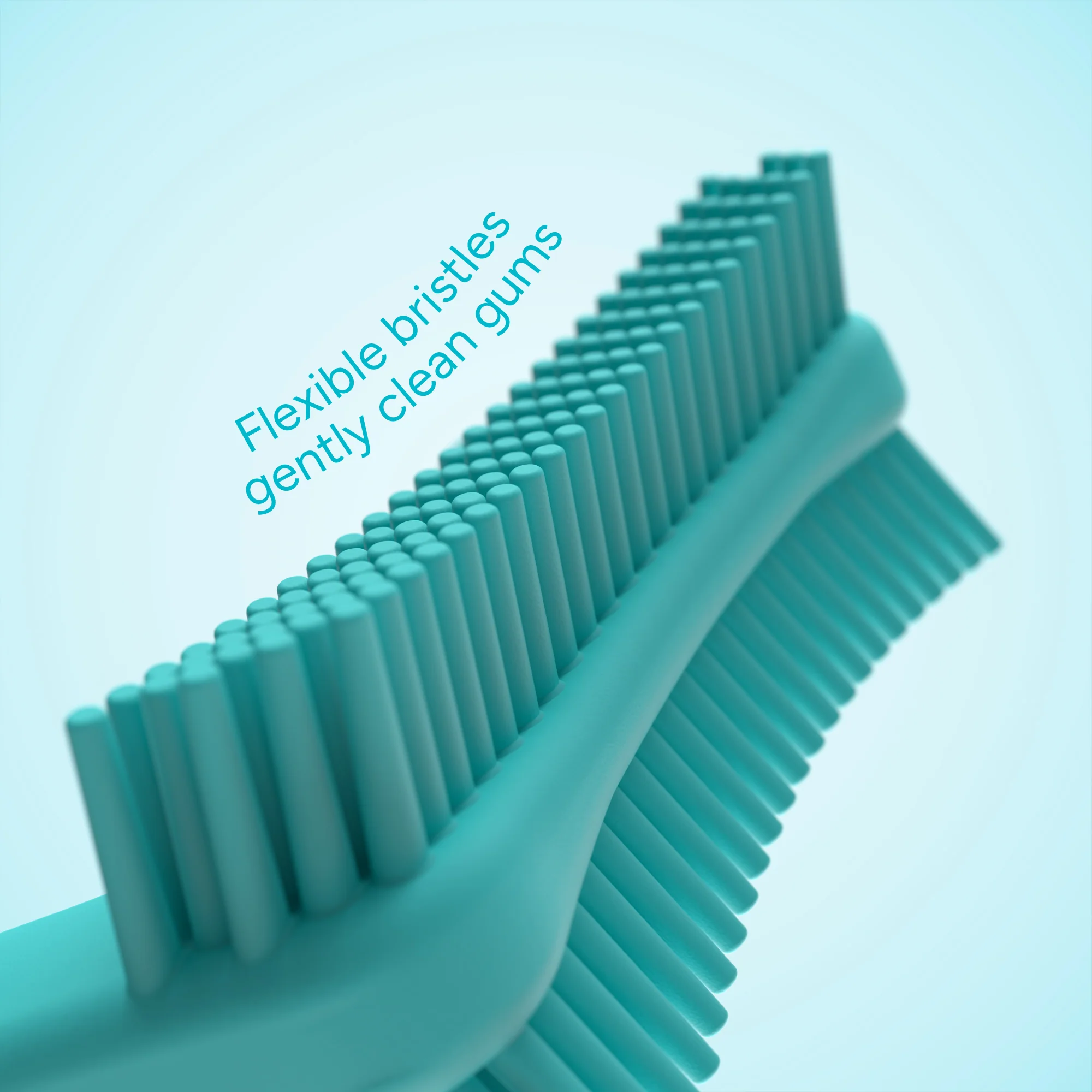 Ordo Denta Reach - Image 4